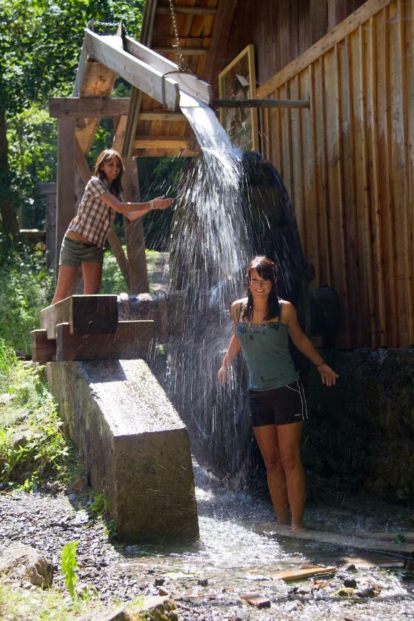Haus Lackner Am Weissensee In Kaernten エクステリア 写真